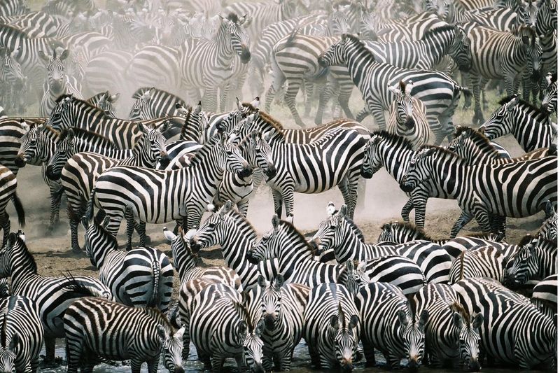 Kenya, Africa